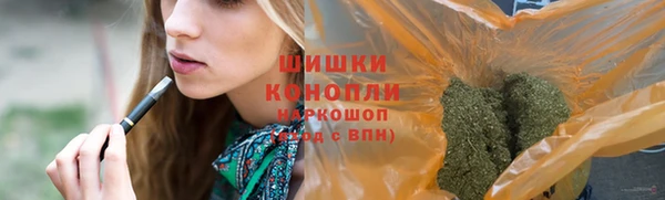 индика Наволоки