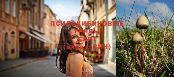 гашиш Михайлов