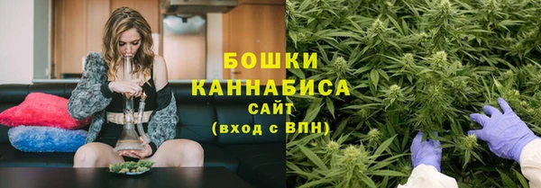 индика Наволоки