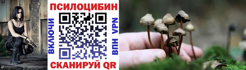Псилоцибиновые грибы MAGIC MUSHROOMS ОМГ ОМГ ТОР Долгопрудный
