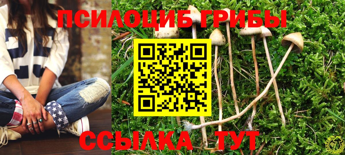 Псилоцибиновые грибы мицелий Долгопрудный