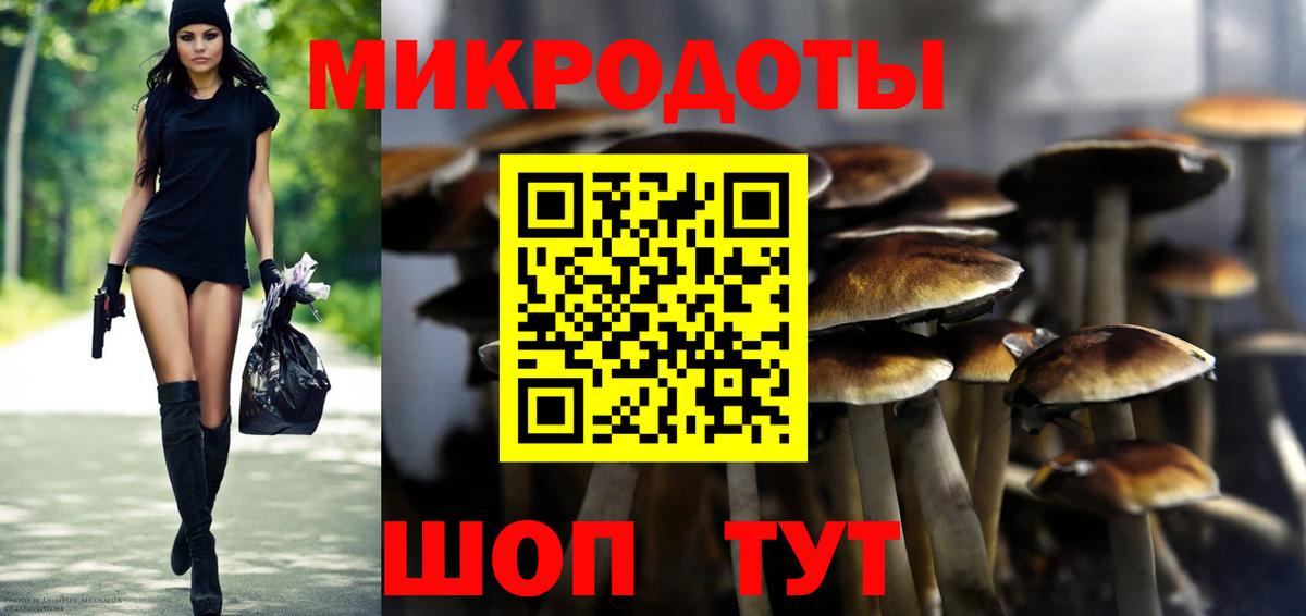 Псилоцибиновые грибы Magic Shrooms  Долгопрудный 