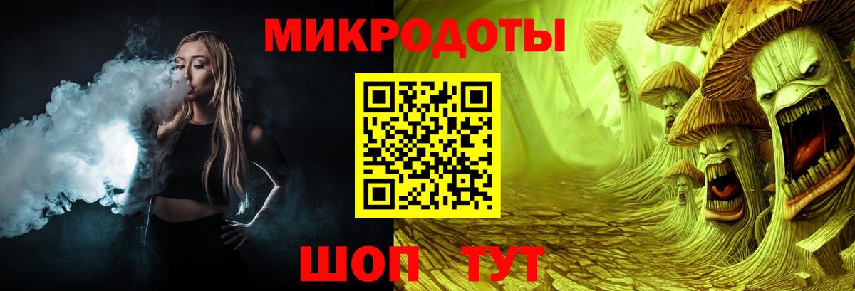 Галлюциногенные грибы Psilocybine cubensis Долгопрудный